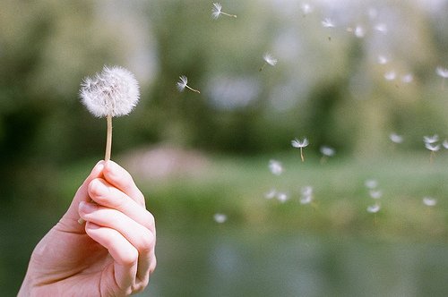 简单明了情侣签名幸福一对 皇上，本宫把后宫所有妃子给灭了