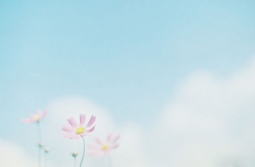 有个性的个性签名女生用 不爱上几个人渣长大后怎么穿婚纱