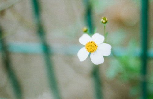 网络关于友情的经典语录