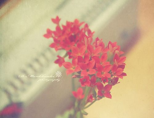 qq说说伤感文字 这场漫长的战争让我失去了你