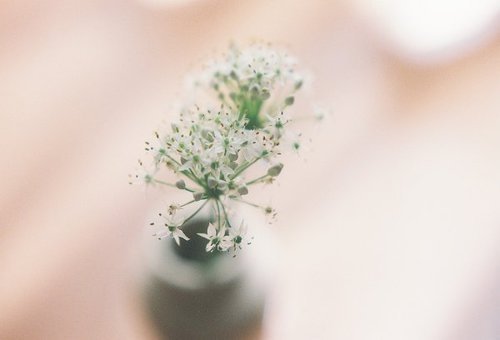 个性女生空间签名超拽坏丫头 你说是一见钟情钟的不是情，是脸吧