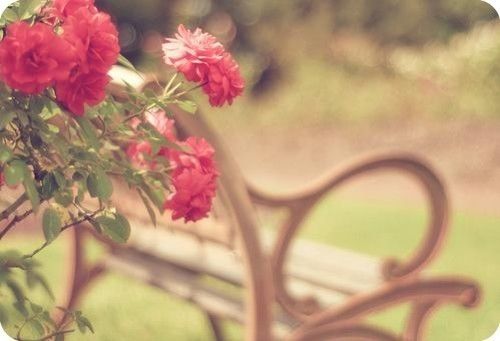 比较有诗意的个性签名