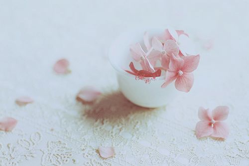 名家名篇名句超经典语录