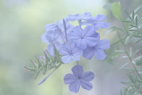 qq悲伤的空间说说大全