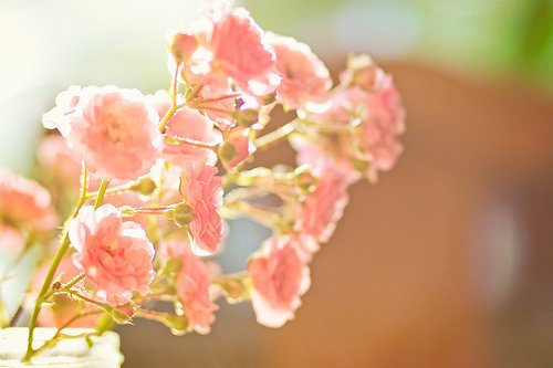 青春让人无尽痛苦_非主流伤感QQ签名