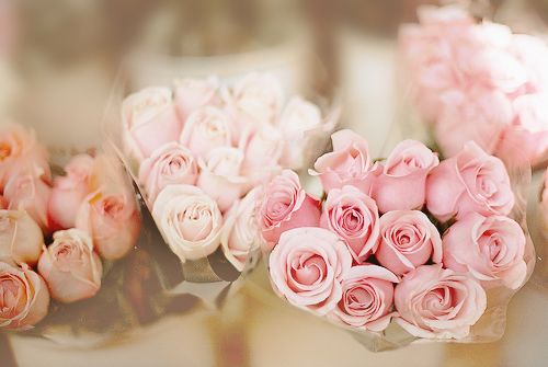 最新情侣个性签名一对超萌 一次就好，我带你去到天涯海角