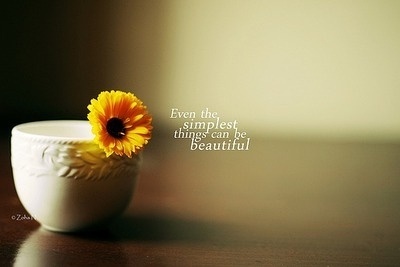 加菲猫哲理语录