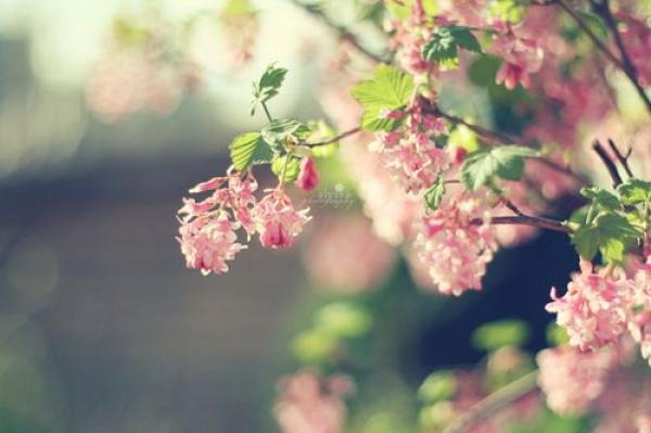 幽默风趣短笑话。