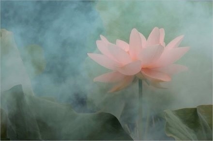 对爱情没有信心的句子