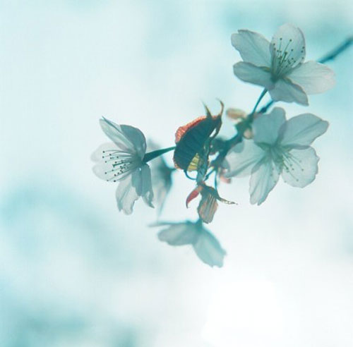 好笑的一句话小笑话。