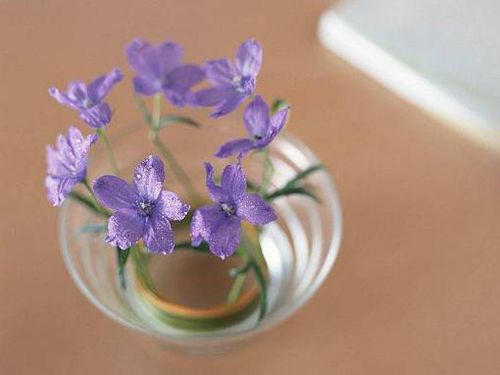 很美的文字心情