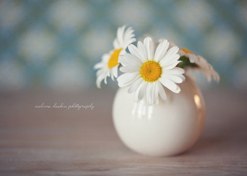 经典男生个性签名 就算终有一散，也别辜负相遇