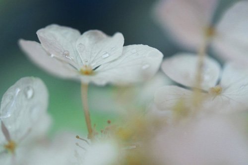 敬廉崇洁名言警句 敬廉崇洁名言警句