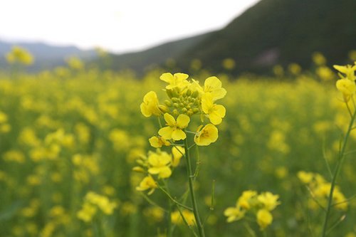 学渣侃学习,不出成绩出笑果 你们考虑过函数的感受吗