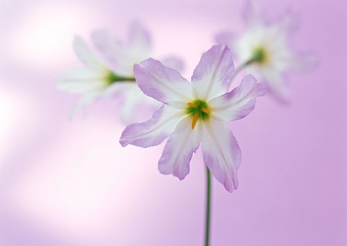 没有信任就不要恋爱_个性经典非主流爱情QQ签名