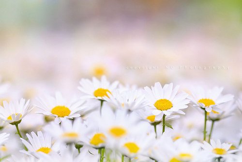 非主流男生签名伤感繁体字带符号 我不想有过多的复杂