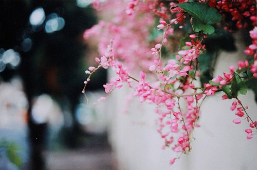 夫妻间的烦恼都是满满的笑 我当初怎么瞎了眼嫁给你