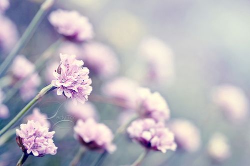 大头针与图钉交换脑袋