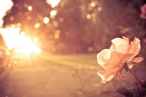 qq情侣签名一左一右 因为无能为力，所以顺其自然