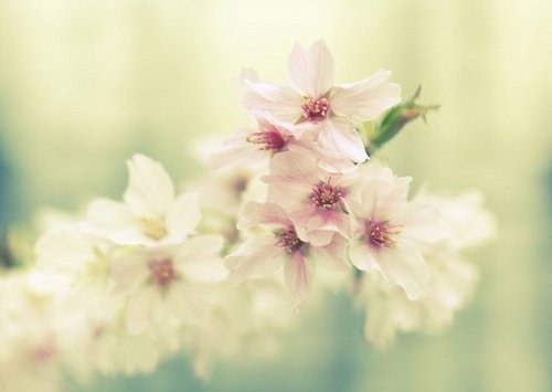 爆逗同学,已笑瞎 她炒的猪肉我都觉得那头猪死的冤枉