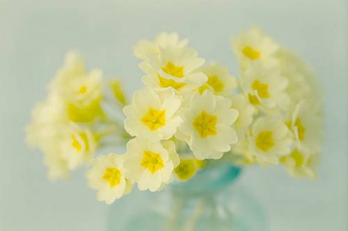 蓝螃蟹小姐开裁剪店