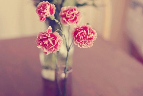 一枚硬币的祝福