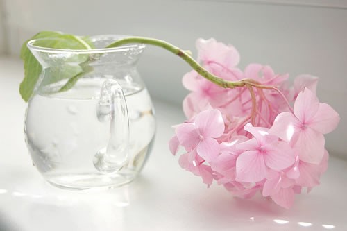 曾经再美，不过一纸空谈；脚下艰难，却是直指明天