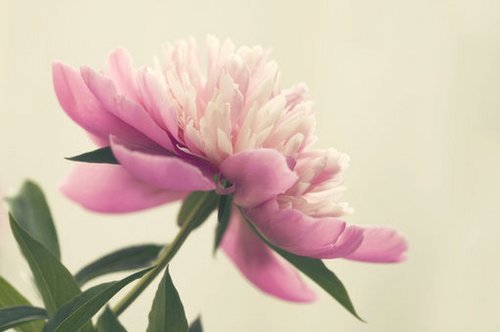 曾经相遇,总胜过从未碰头 曾经相遇,总胜过从未碰头