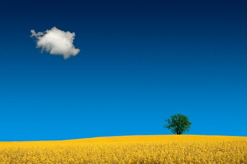 有关幸运的名言