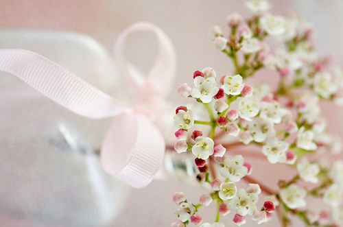 关于真心爱情的句子