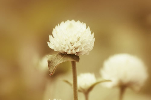 霸气的男生qq签名 只要为你活过我就不是粉末