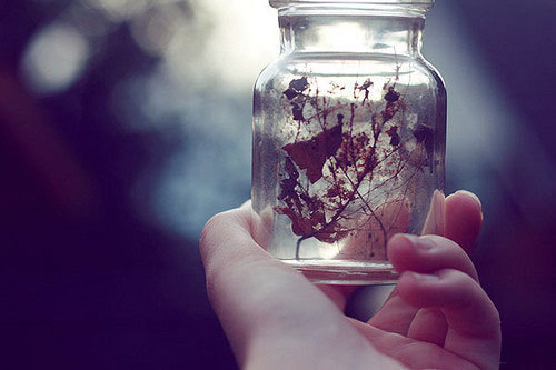 电视剧蜗居经典语录