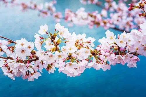 这个世界不会因为你有多惨，就对你有多好