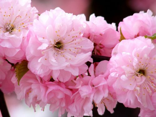 有关战争的名言 有关战争的名言