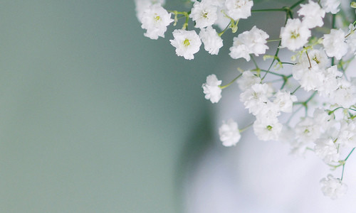 七夕的浪漫唯美的句子精选