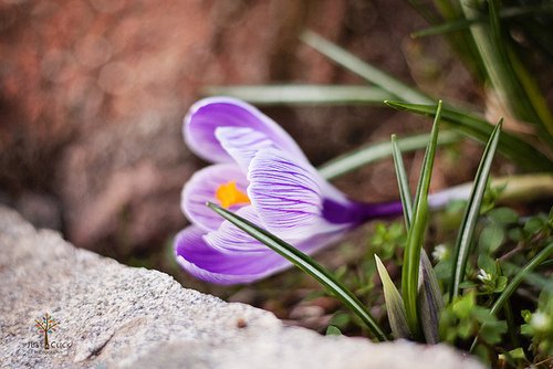 2015中秋思念的唯美句子大全