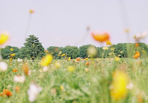 2015七夕经典搞笑表白句子