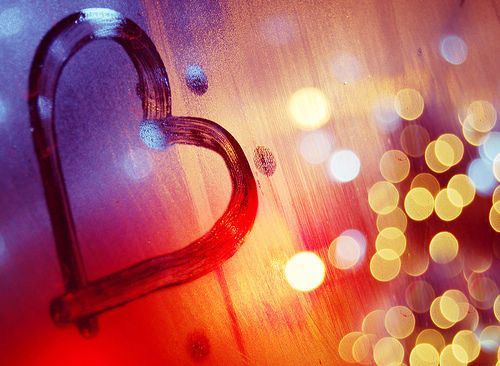 我只管捕自己的鱼