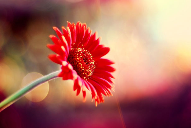 爱情陌陌个性签名 爱是妒忌爱是怀疑爱是种近乎幻想的真理