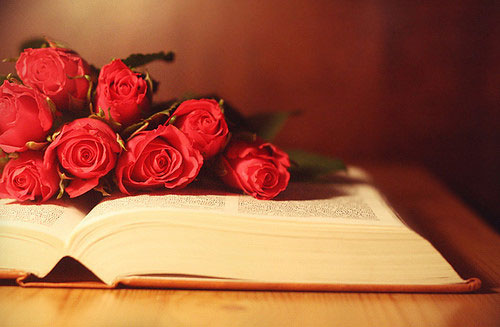 唯美英文说说 有时爱情是朵含蓄的花，需要时间才会怒放