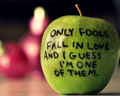 亡羊补牢 亡羊补牢