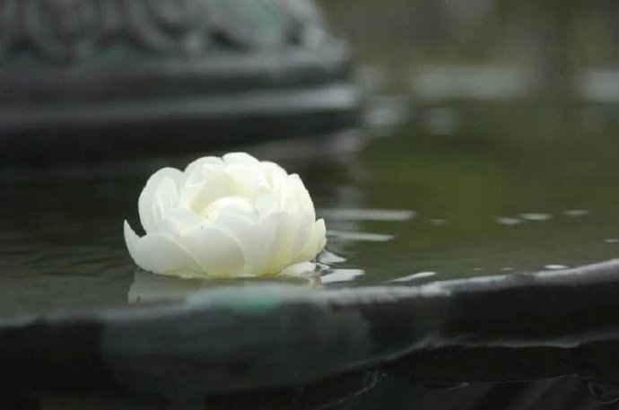 我看你骨骼惊奇，真是一块煲汤的好料