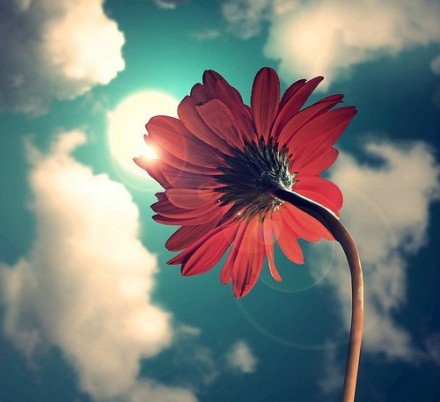 爆笑小明 520和521之间有什么区别