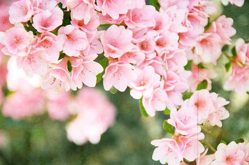 2014好听的个性签名女生优雅的 空气里有幸福的灰尘