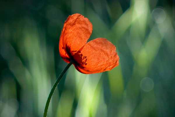 8090脱口秀经典语录