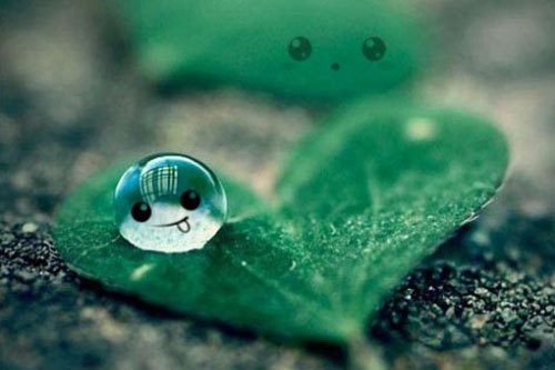 美到心间的句子