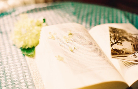 看透了的虚伪的个性签名伤感 别用你那虚伪的眼泪脏了我