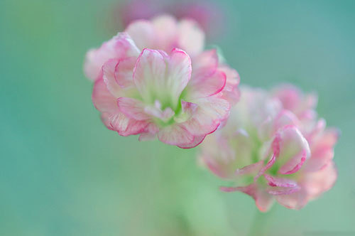 幽默生活里的囧人爆笑