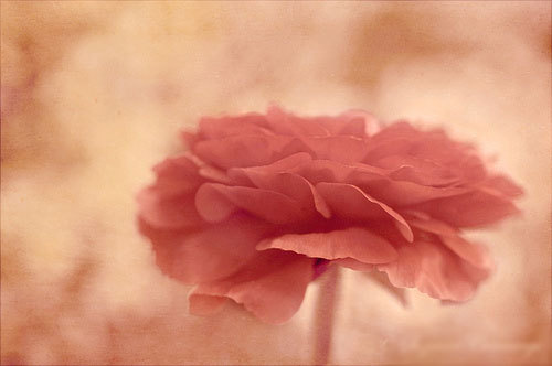 学习数学的励志名言 你会学的更多