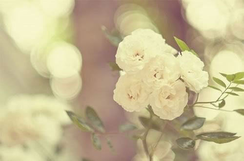 你需要一个拥抱，我给你